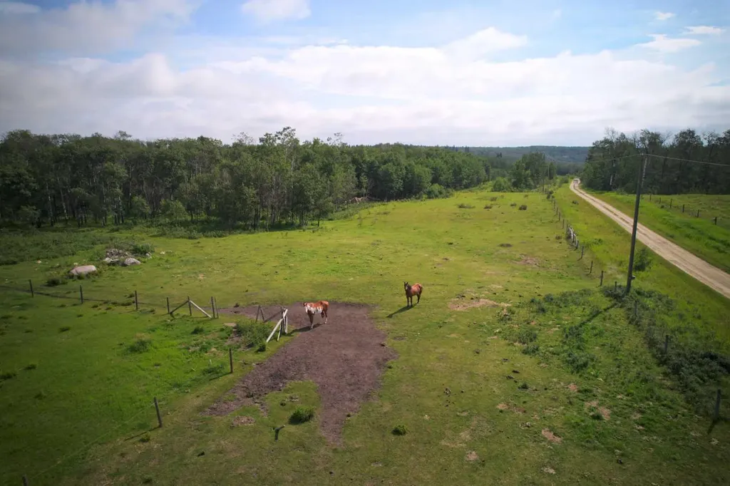 NW 6-42-24 W4 Rural Ponoka County AB T4J 1R3