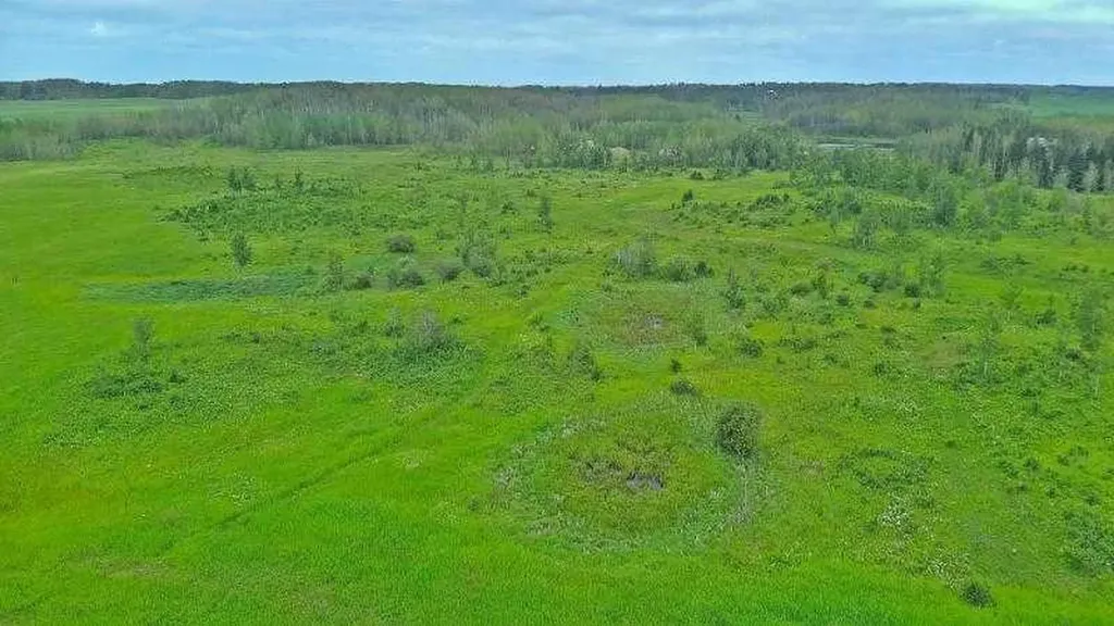 Range Road 14 Rural Ponoka County AB T0C 2J0