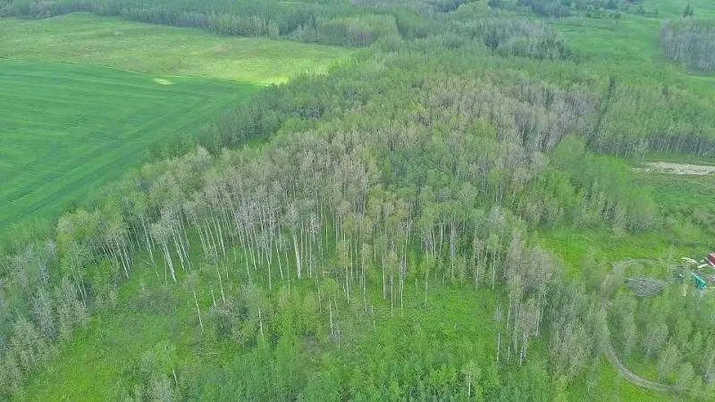 Range Road 14 Rural Ponoka County AB T0C 2J0