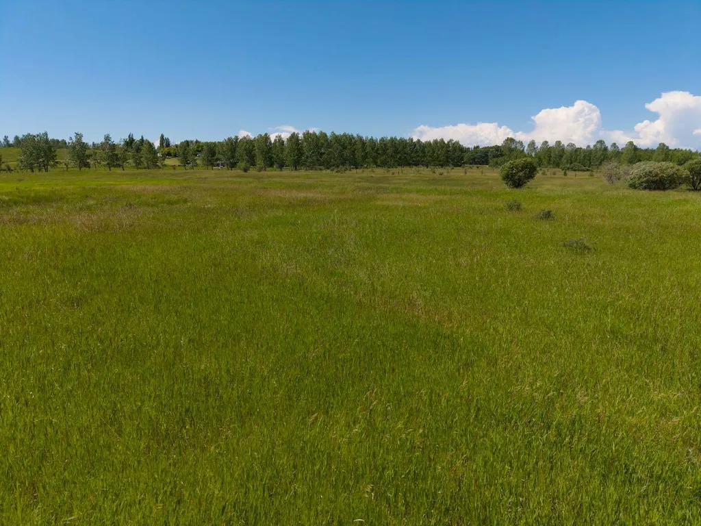 112055 2253 Drive E Rural Foothills County AB T0L 0X0