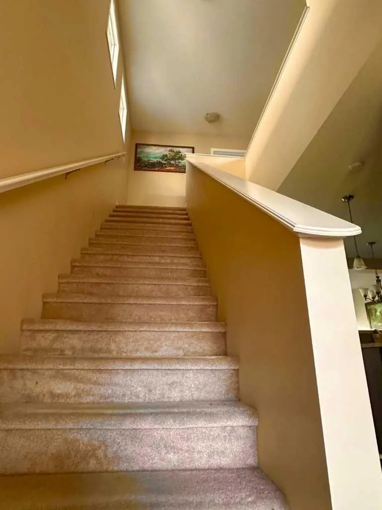 31 Skyview Springs Rise NE Calgary AB T3N 0B2