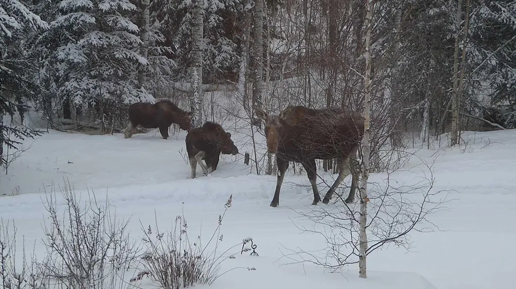 8316 Highway 16a Rural Yellowhead County AB T0E 0T0