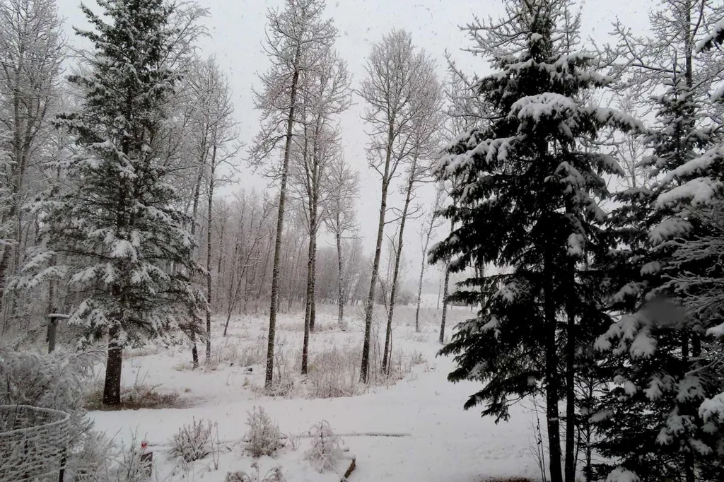 8316 Highway 16a Rural Yellowhead County AB T0E 0T0