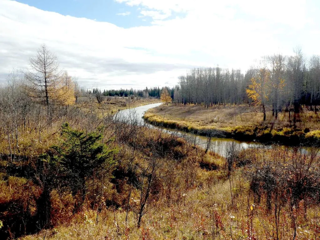 8316 Highway 16a Rural Yellowhead County AB T0E 0T0