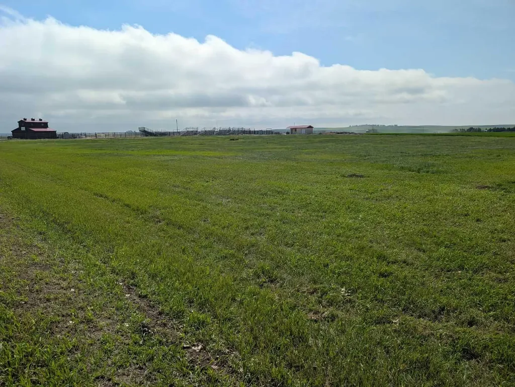 237 North Trochu AB T0M2C0