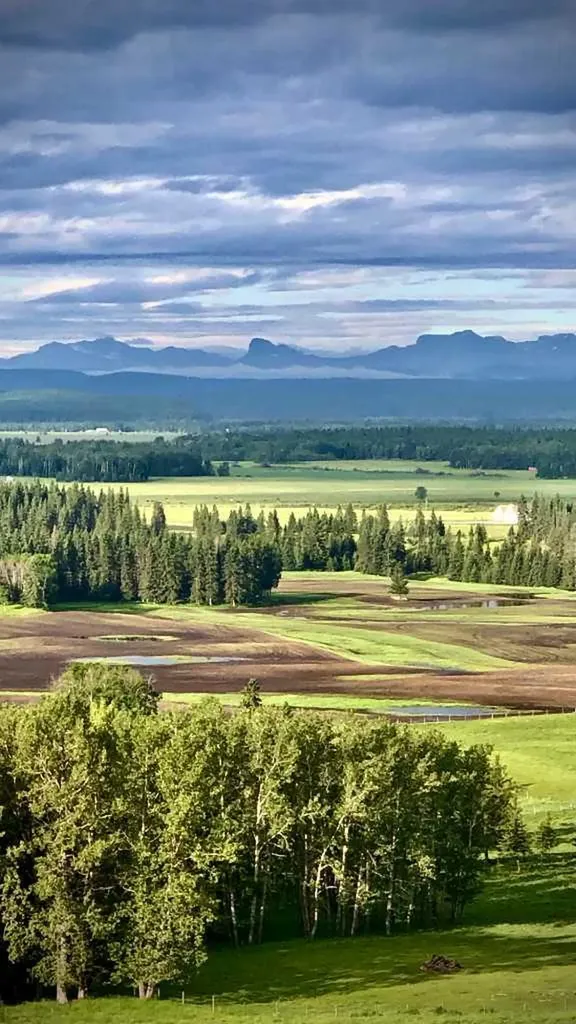 6029 Township Road 332 Rural Mountain View County AB T0M 1X0