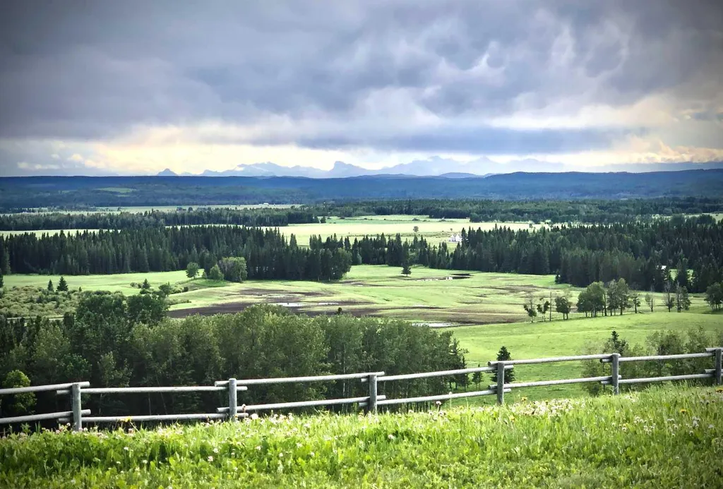 6029 Township Road 332 Rural Mountain View County AB T0M 1X0