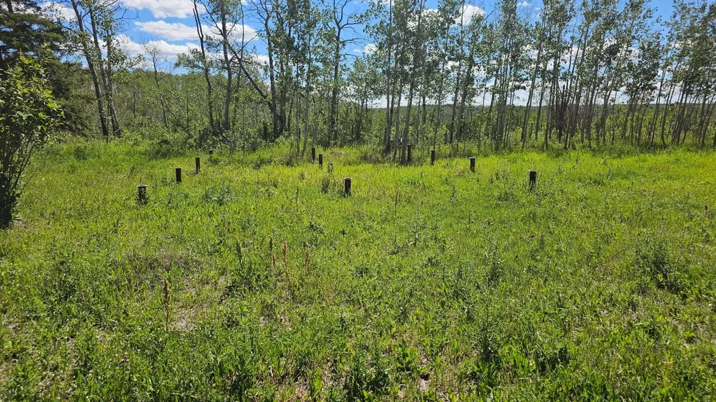 81154 124 Range Rural Saddle Hills County AB T0H 0A1