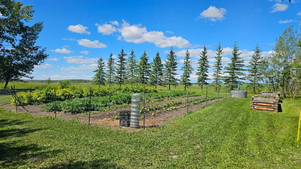 81154 124 Range Rural Saddle Hills County AB T0H 0A1