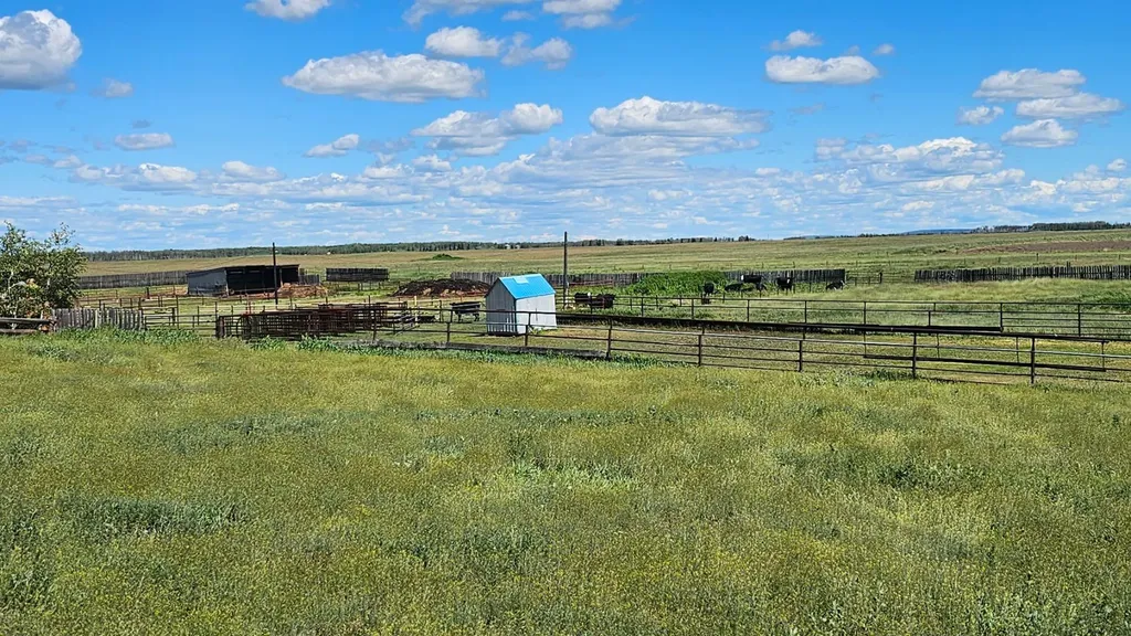 81154 124 Range Rural Saddle Hills County AB T0H 0A1