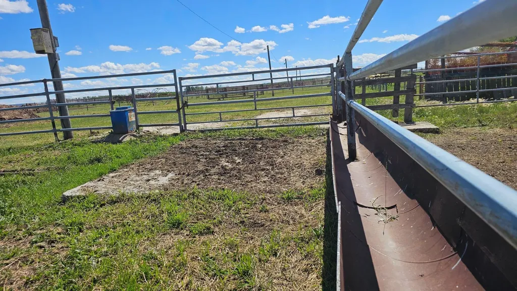 81154 124 Range Rural Saddle Hills County AB T0H 0A1