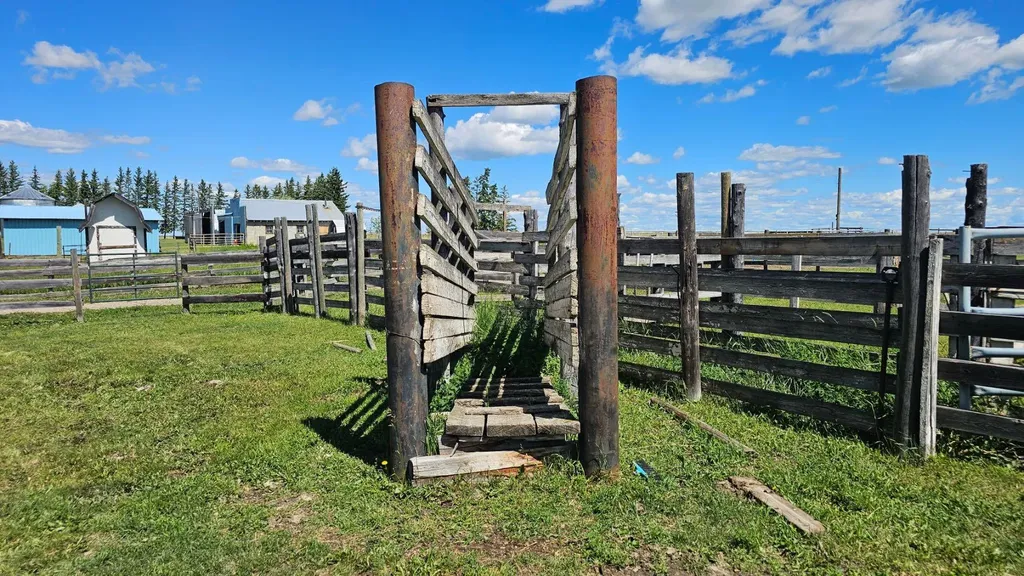 81154 124 Range Rural Saddle Hills County AB T0H 0A1
