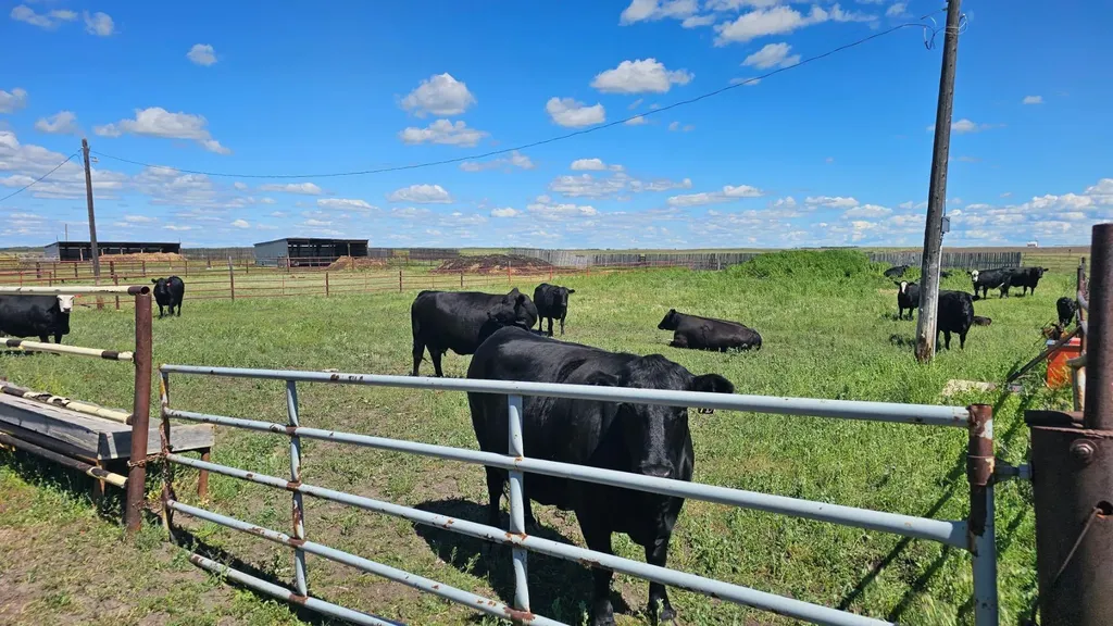 81154 124 Range Rural Saddle Hills County AB T0H 0A1