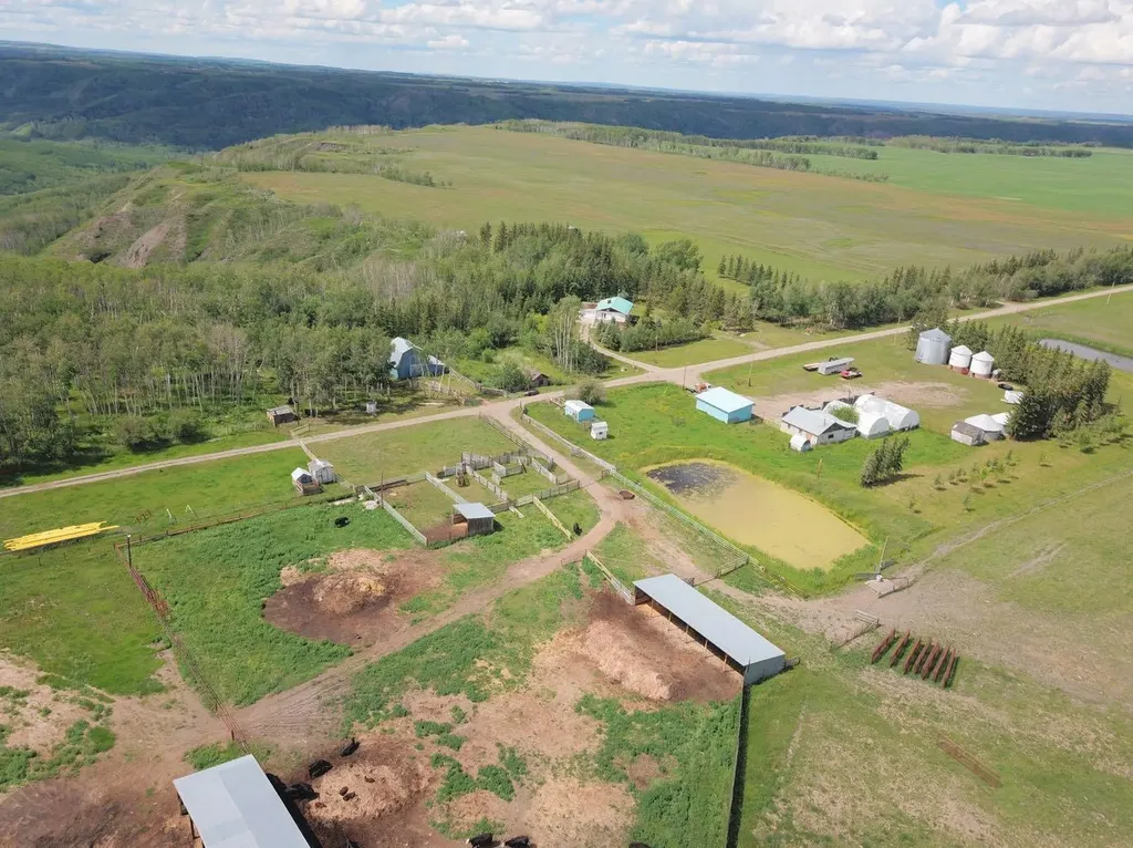 81154 124 Range Rural Saddle Hills County AB T0H 0A1