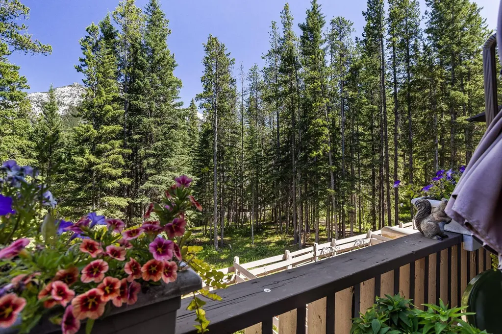 246 Kluane Drive Banff AB T0L 0C0