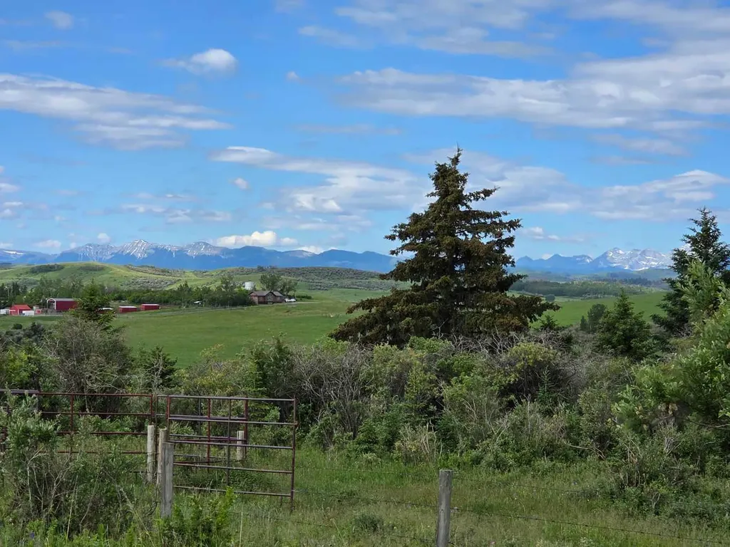 482074 144 Street W Rural Foothills County AB T1S 1A1