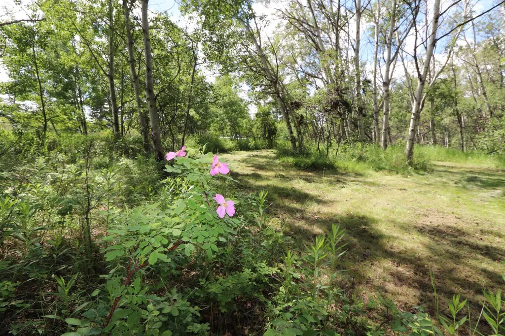 430006 Range Road 232 Rural Ponoka County AB T4J 1R1