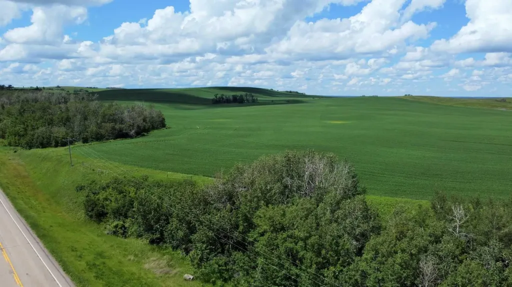 On Rural Ponoka County AB T4J 1R1