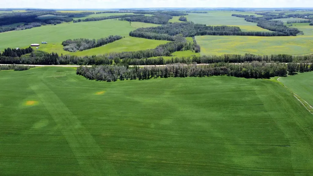 On Rural Ponoka County AB T4J 1R1