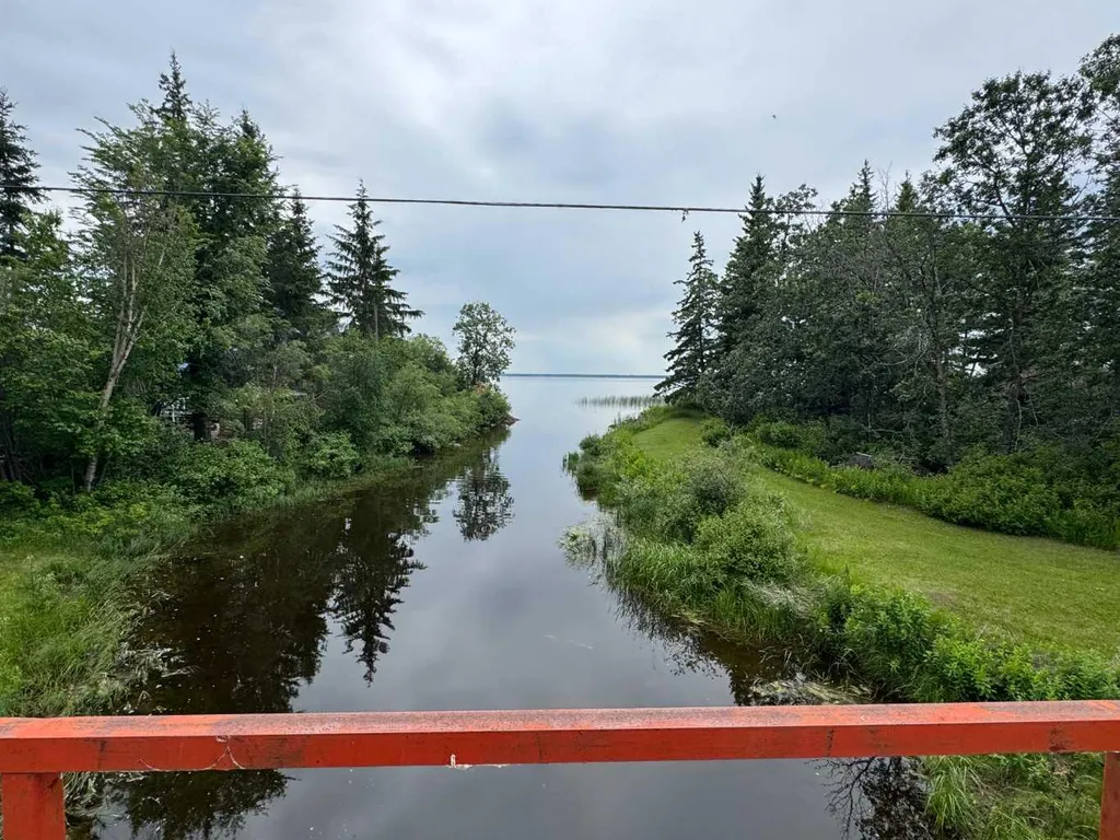 133 Walanne Way Turtle Lake SK S0M 1J0