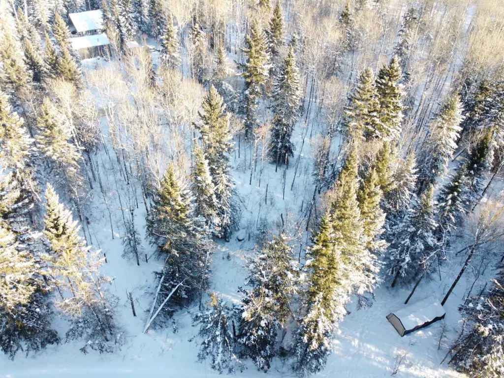 133 Walanne Way Turtle Lake SK S0M 1J0
