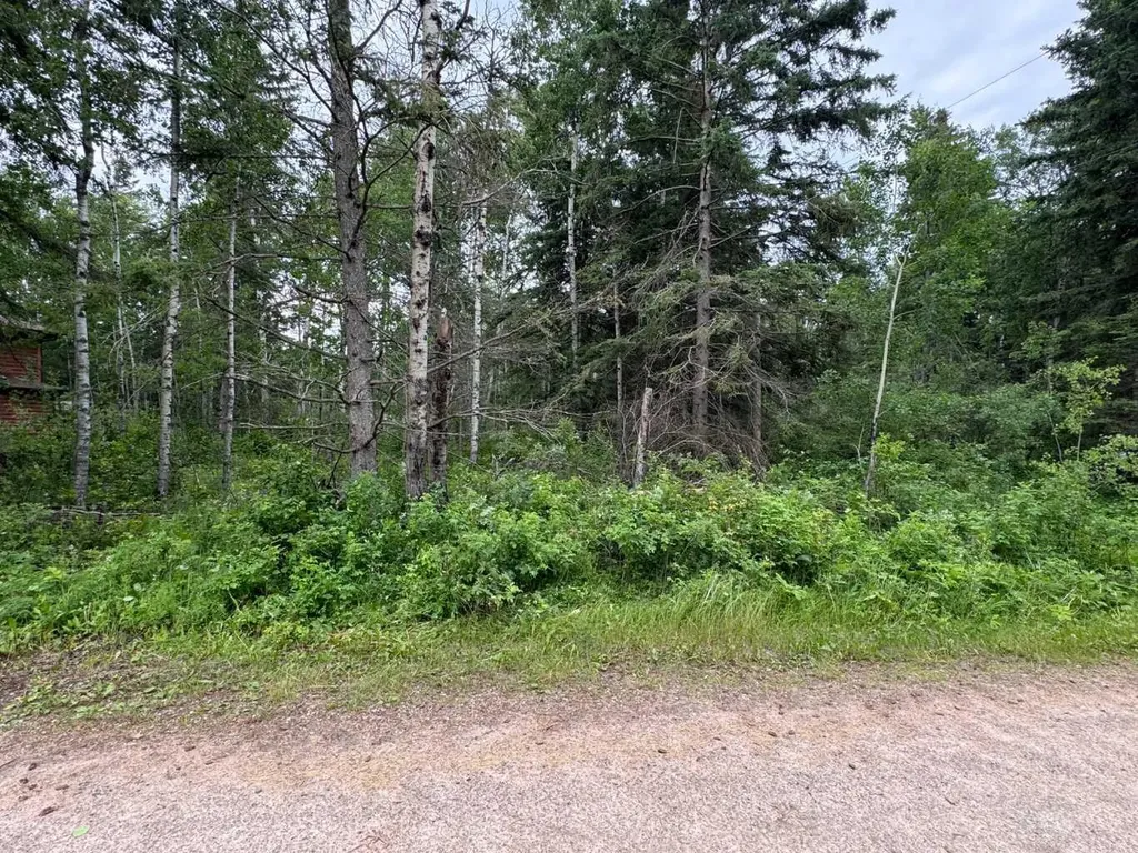 133 Walanne Way Turtle Lake SK S0M 1J0