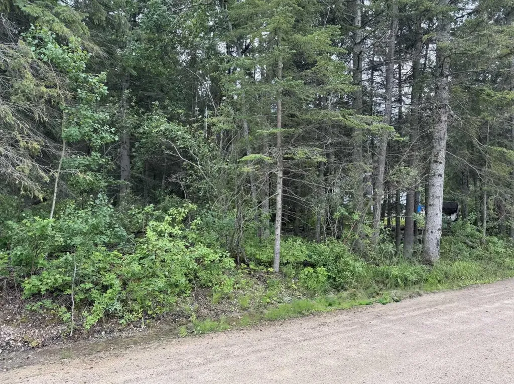 221 Walanne Way Turtle Lake SK S0M 1J0