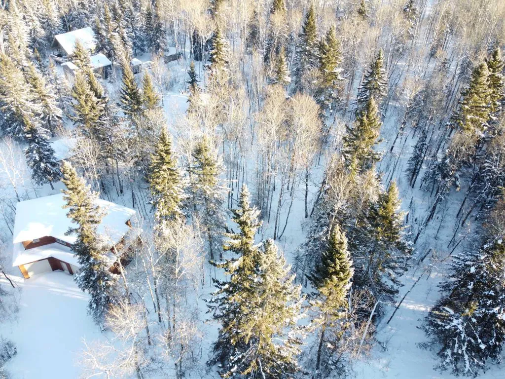 137 Walanne Way Turtle Lake SK S0M 1J0