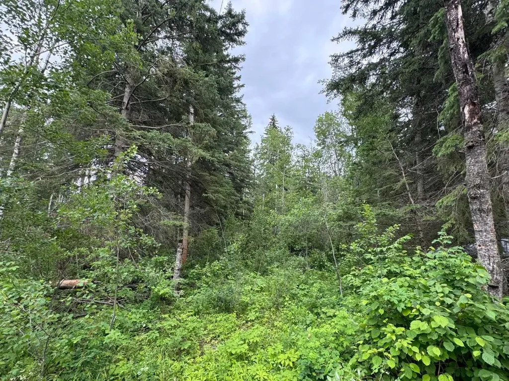 137 Walanne Way Turtle Lake SK S0M 1J0