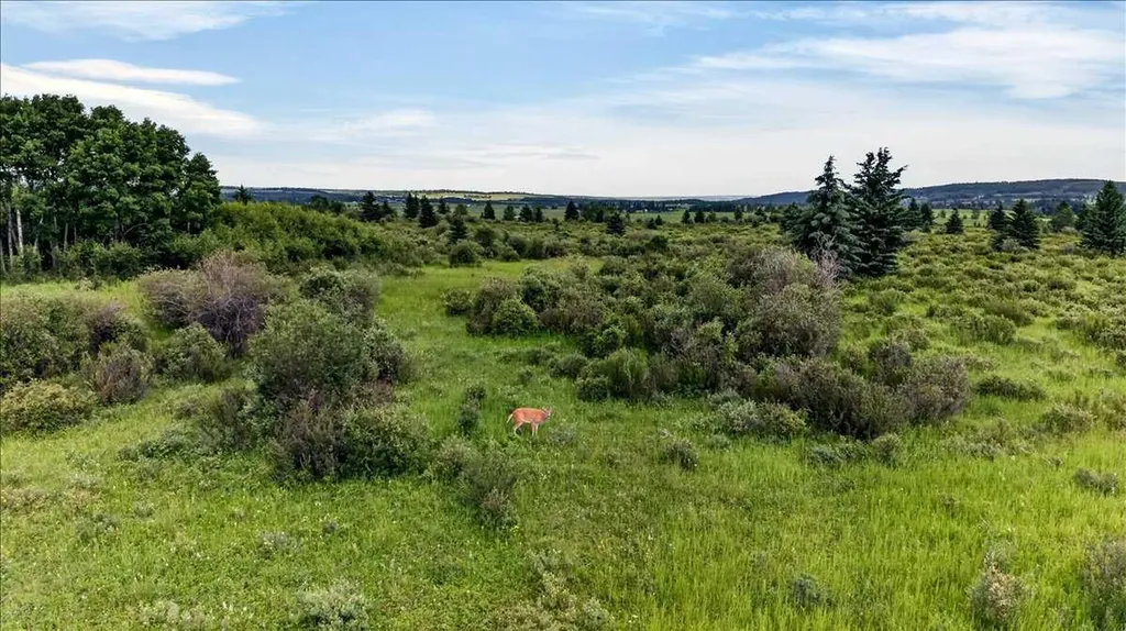 240117 210 Avenue W Rural Foothills County AB T0L 1W4