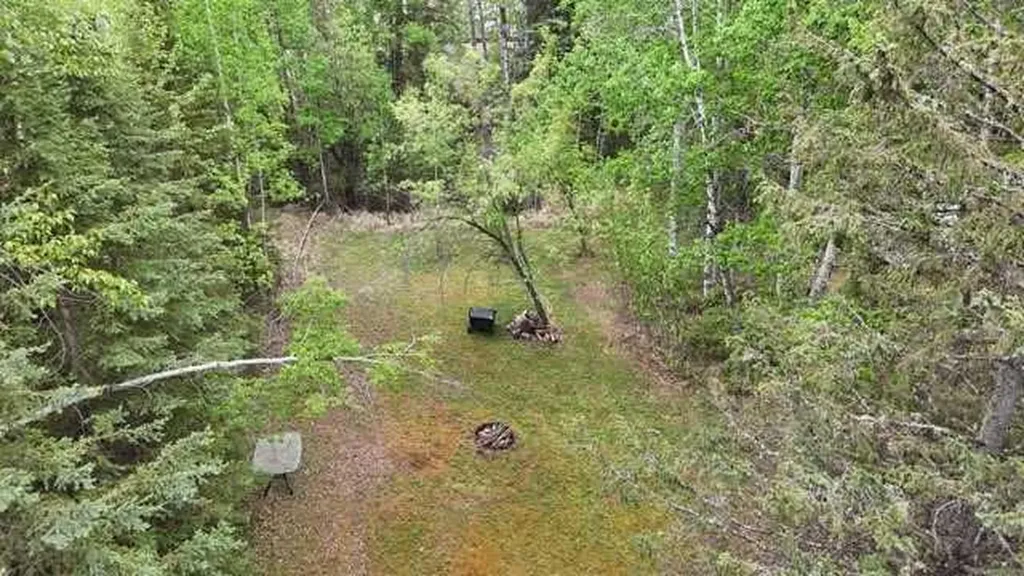 20 Voyager Drive Rural Clearwater County AB T4T 2A4