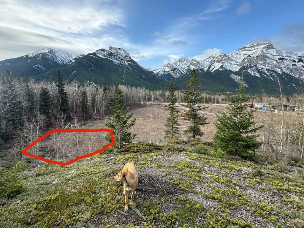 16 Yamnuska Place Exshaw AB T0L 2C0