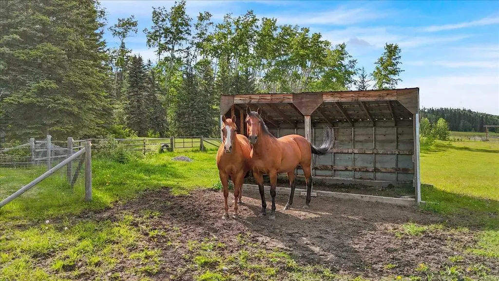 304241 278 Avenue W Rural Foothills County AB T0L 1K0