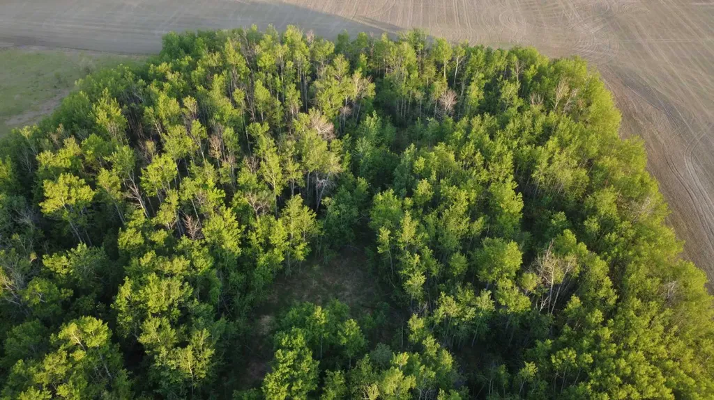 32033 Twp Road 832 Rural Clear Hills County AB T0H 1L0
