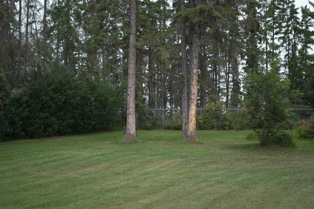 20 Cronquist Close Red Deer AB T4N1E3