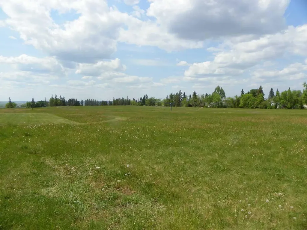 6 Avenue Avenue NE Three Hills AB T0M 2A0