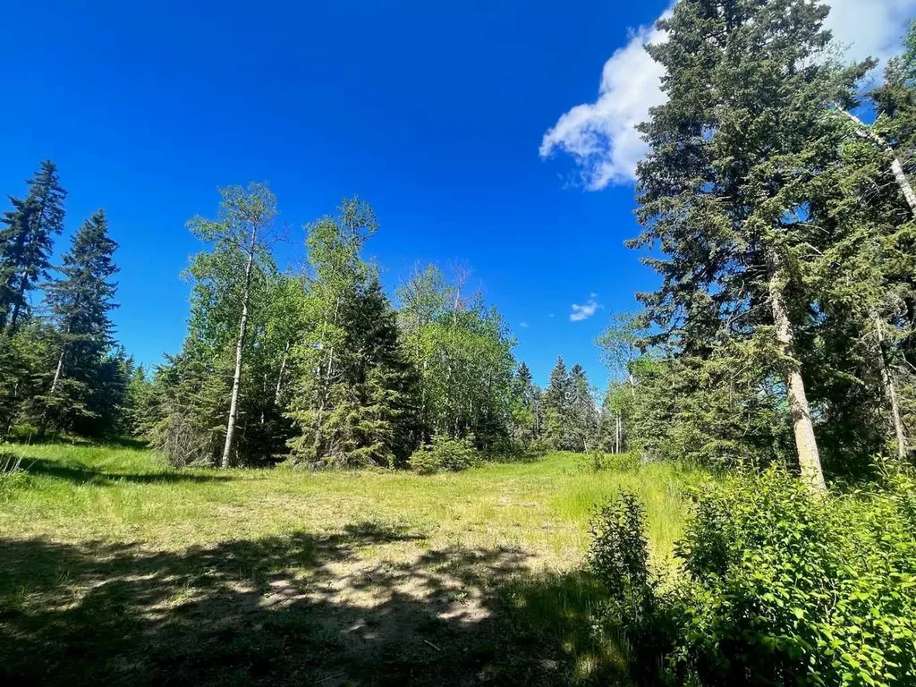 421022 Range Road 260 Rural Ponoka County AB T4J 1R3