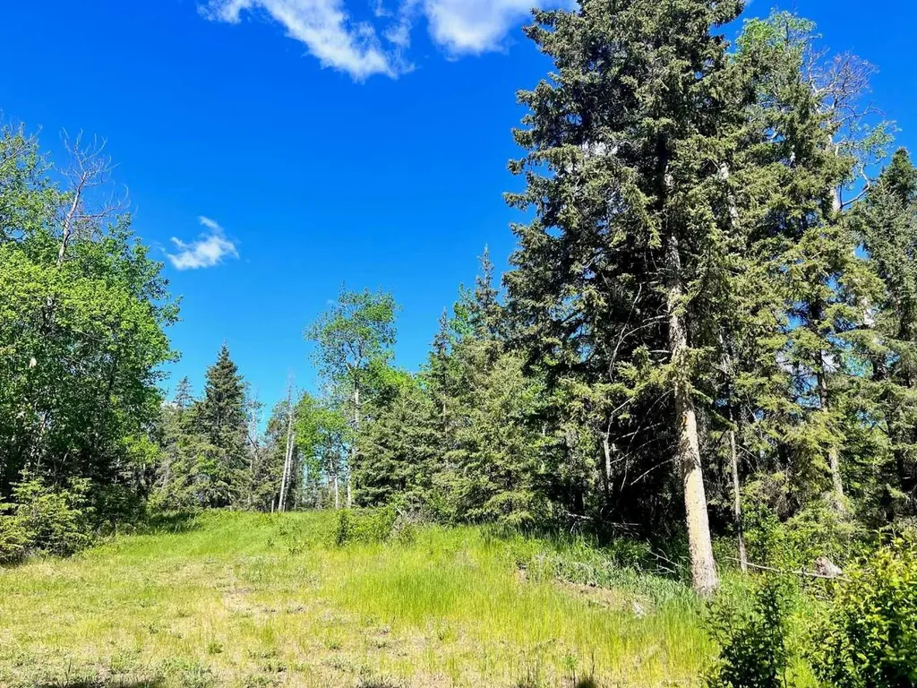 421022 Range Road 260 Rural Ponoka County AB T4J 1R3