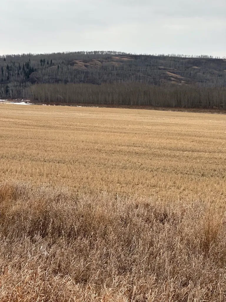 3-1-2121458 242a Range Rural Birch Hills County AB T0H3R0
