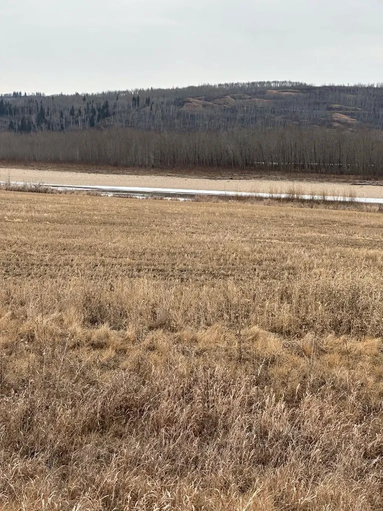 1-1-2121458 242a Range Rural Birch Hills County AB T0H3R0