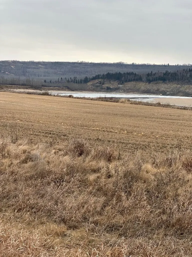2-1-2121458 242a Range Rural Birch Hills County AB T0H3R0