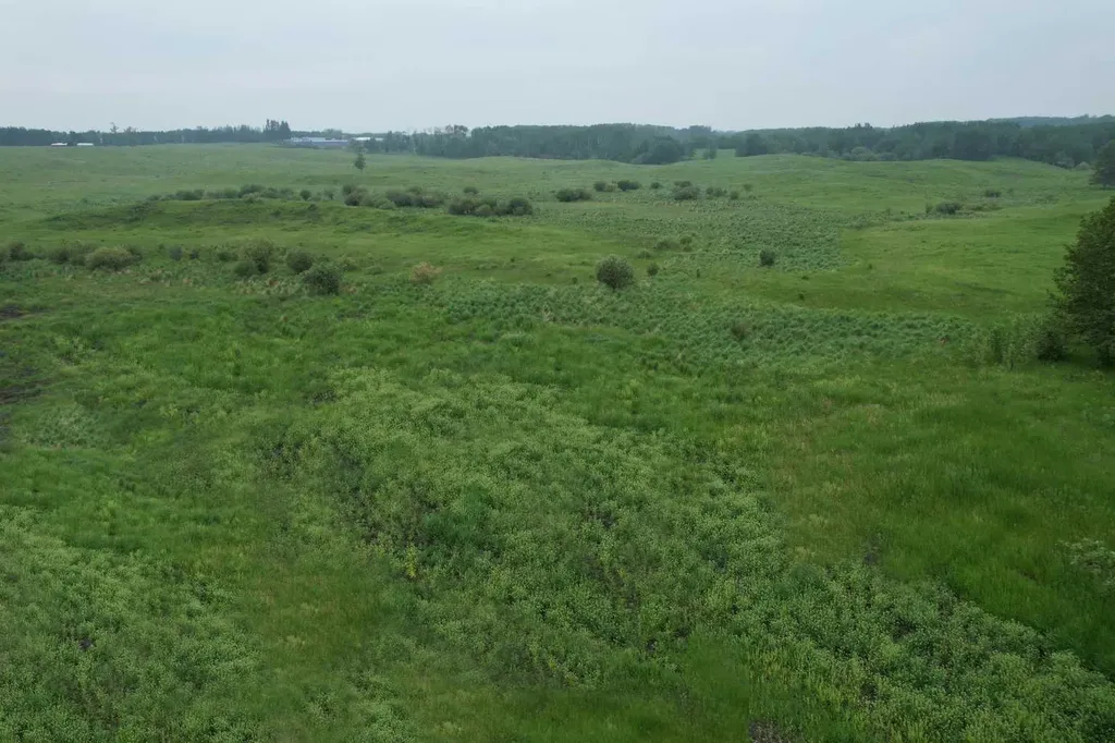 On Township Road 422 Lot 7 Rural Ponoka County AB T0C 2J0