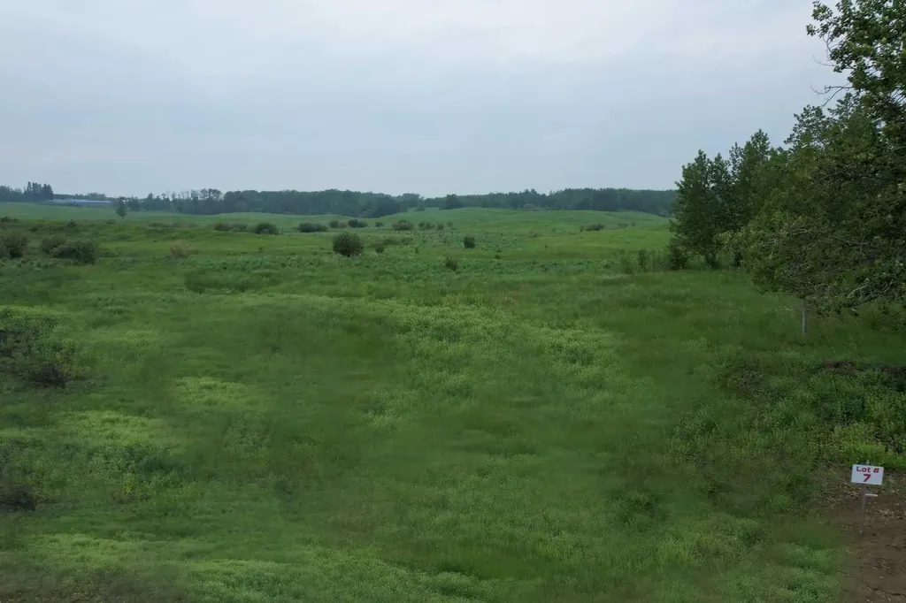 On Township Road 422 Lot 7 Rural Ponoka County AB T0C 2J0