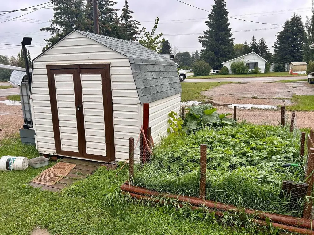 5047 48 Street Mannville AB T0B 2W0
