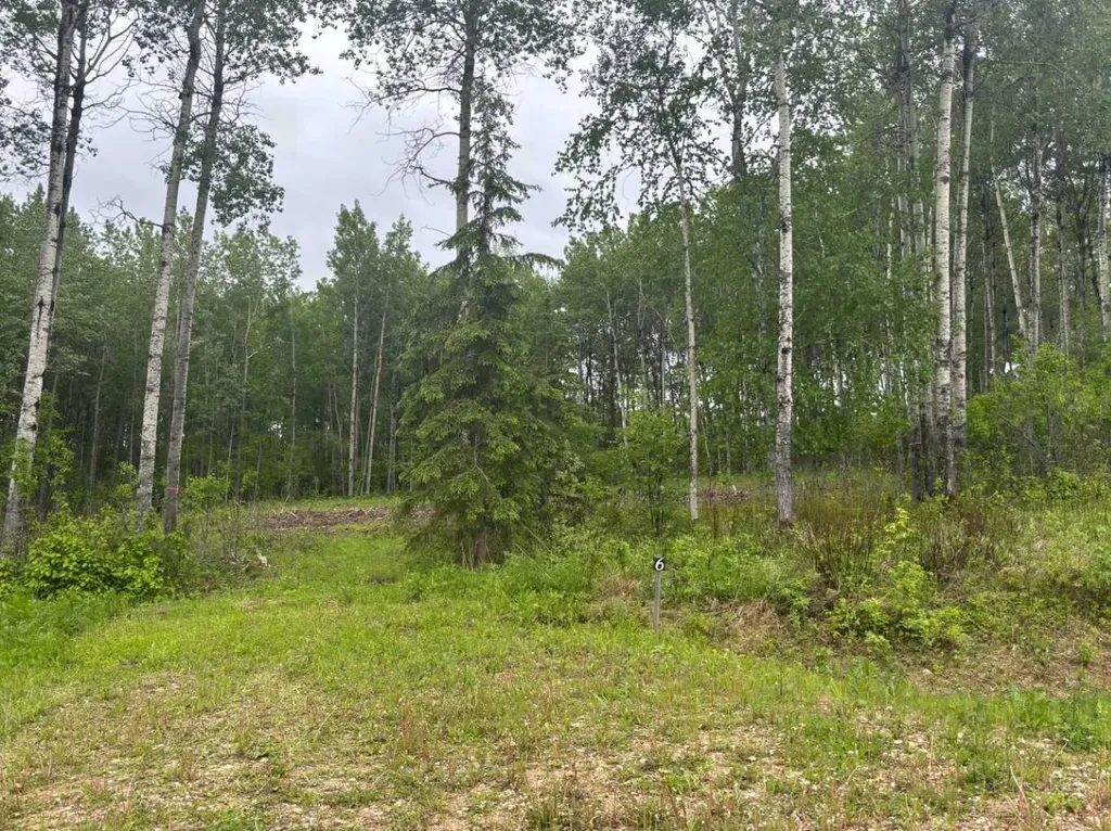 660023 Range Road 224 Rural Athabasca County AB T9S 2A8