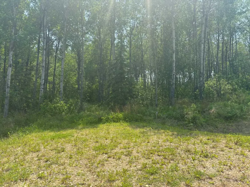 660023 Range Road 224 Rural Athabasca County AB T9S 2A8