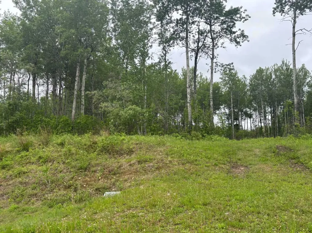 660023 Range Road 224 Rural Athabasca County AB T9S 2A8