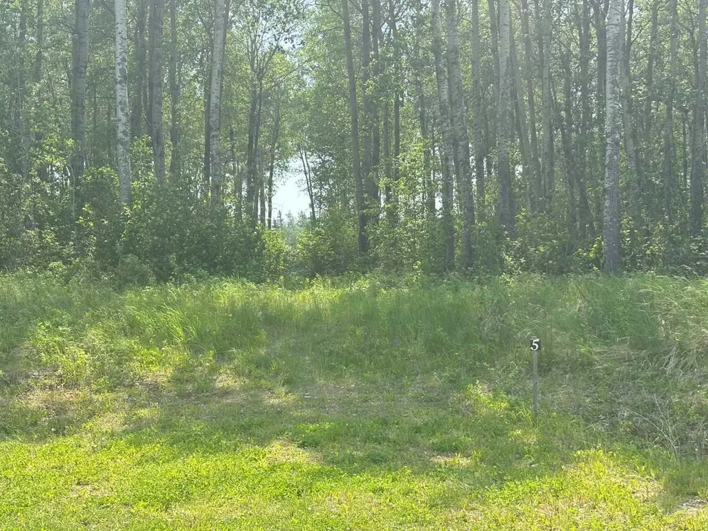 660023 Range Road 224 Rural Athabasca County AB T9S 2A8