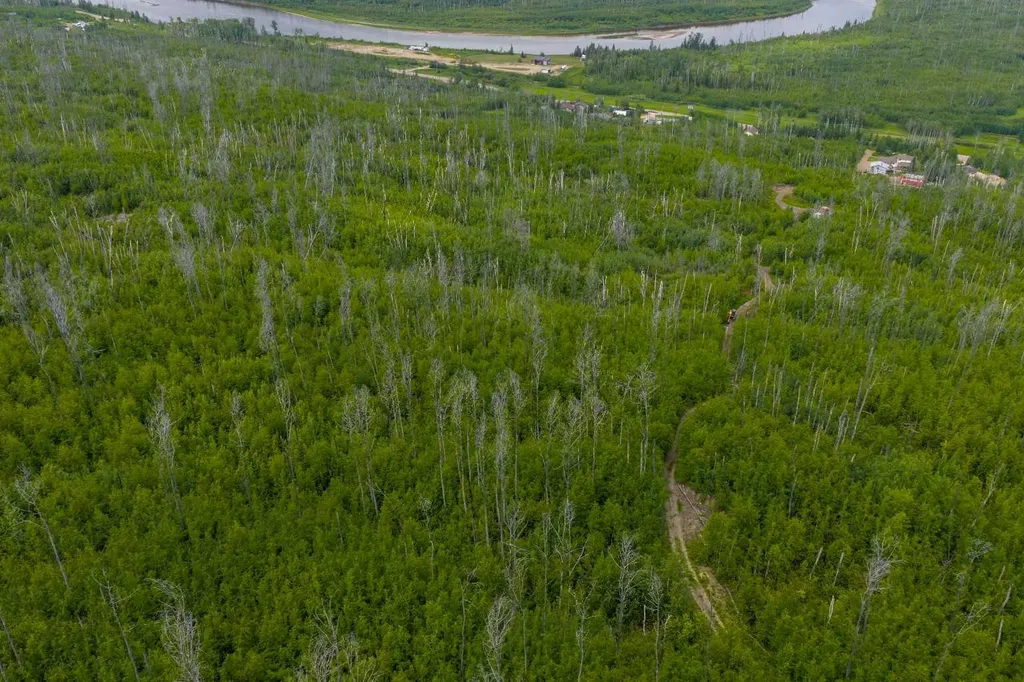 5329 Draper Road Fort Mcmurray AB T9H0K7