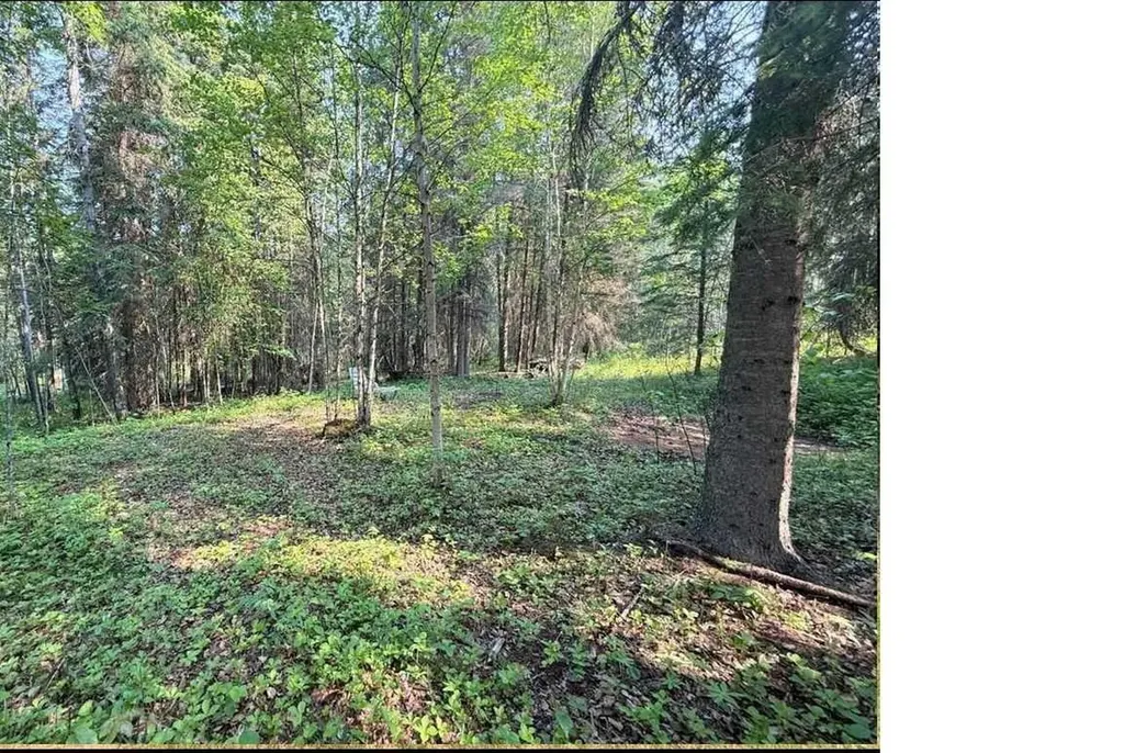 221054 670 Township Rural Athabasca County AB T9S 2B5